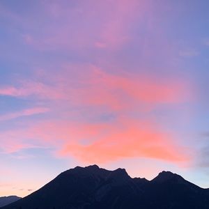 Meet your Posher, Carter